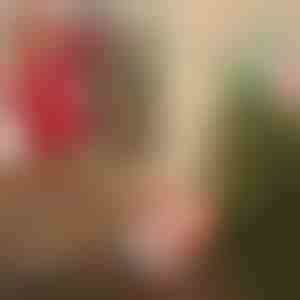 Djed Božićnjak s padobranom | SANTASWING