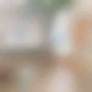 Električna rotacijska četka za čišćenje | ROTOBRUSH