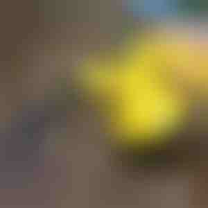 Dezinfekcijski parni čistač | VAPERO