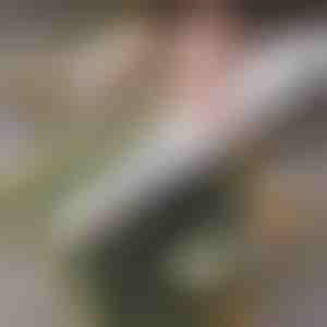 Jednostavan kućni sushi valjak | SUSHROLIO