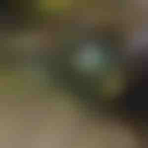 Sklopiva kolica | TROLLYFOLD