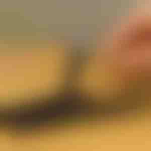 10-dijelni set za izvlačenje vijaka | SCREWX