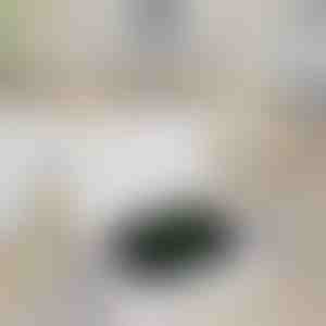 Prijenosna banka za punjenje sata | WATCHBANK